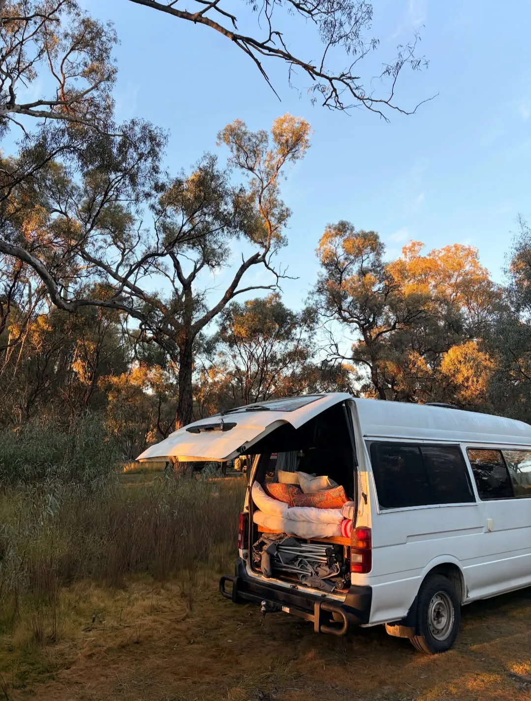 Hank's tailgate up in the bush at golden hour, bedding and gear inside
